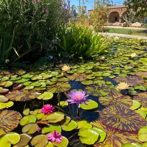 Communication is the key